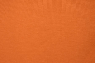 Jersey uni GOTS | Amber